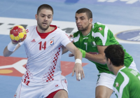 Handball: Drago Vukovic wechselt zu den Berliner Füchsen